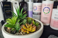 Plant Salon